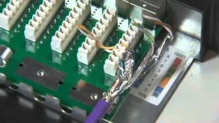 Cat6Plus 24 Port Shielded Patch Panel Installation