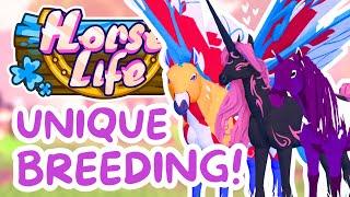 Breeding UNIQUE Coat Colors!  Horse Life  Roblox Horse Game