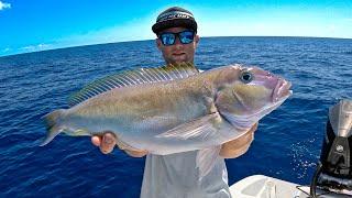 I MOVED! Mahi Fishing and DEEP dropping in Islamorada