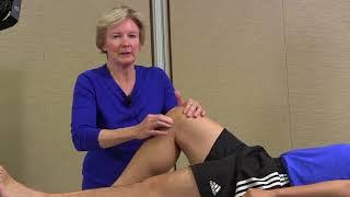 LIVE ON SCREEN DEMONSTRATION: The Knee Exam for the Generalist - Christina Allen, MD