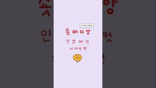 머리 큰 사람 인생네컷 공감