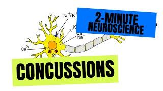 2-Minute Neuroscience: Concussions