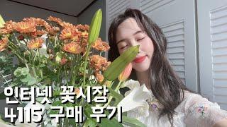아직도 새벽 꽃시장 가니? 나는 인터넷꽃시장 에서 산다 ! (feat. 인터넷 꽃시장꿀팁)