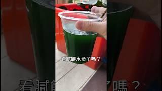 1分鐘學會培育綠水