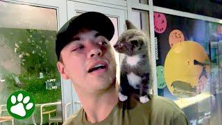 Reluctant boyfriend raises the kitten he didn't want