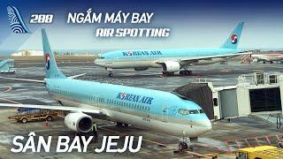 VLOG #288: Đến sân bay Jeju (Hàn Quốc) ngắm máy bay | Yêu Máy Bay