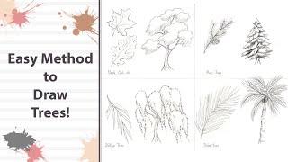 How to Draw Easy Realistic Trees! 4 Kinds of Trees!