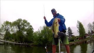 Flappy Daddy for Wisconsin Bass