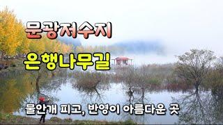 괴산 문광저수지 | 가을여행 버킷리스트 | 은행나무길 | 물안개 | 낚시테크 | 반영 | landscape photography |4k|