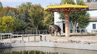 Mykolaiv zoo: life carries on in war-torn Ukraine