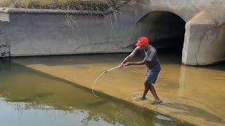 Incredble Baam fishing Techniques|Fisherman Hunting Baam fishes to Catch With Small hook