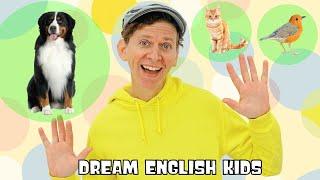 This is a Dog  - This is not a Dog Grammar Song  | Simple Songs With Matt | Dream English Kids