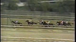 1983 Vosburgh Stakes