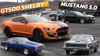 Ford Mustang Shelby GT500 vs Mustang 5.0 & GTO Drag Racing @ Island dragway