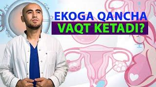 EKOga qancha vaqt ketadi? | Dr.Abdujabbor