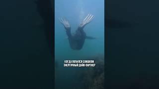 Когда попался энергичный дайв-партнер  #aksenovscubadiving #scubadiving #дайвинг