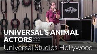 Universal's Animal Actors - Universal Studios Hollywood