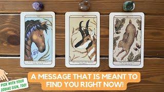 A Message That Is Meant To Find You Right Now! | Timeless Reading