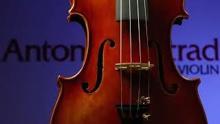 Antonio Strad - Lazzaro Zucchi Violin - Product Details