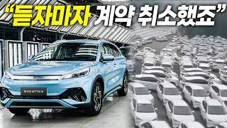 "듣자마자 계약 취소했죠" 폭망 직전이라는 BYD.. 진짜 문제는 따로 있었다