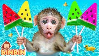 Monkey Binbin Explore Watermelon Rainbow Jelly and Swims in Pool with Funny Animal | MONO BINBIN ESP