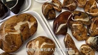 緬甸琥珀｜burmite｜根珀｜