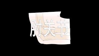 肘关节 Elbow