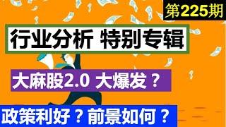 第225期：大麻股 2.0大爆发 ？  行业分析 特别专辑  政策？基本面和前景如何？ ( ACB, CGC，CRON,  APHA, TLRY OGI, HEXO, PLNHF )