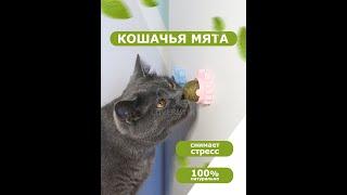 Игрушка шарик кошачья мята