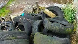 Pit silage sorted