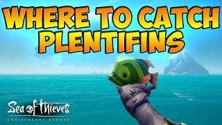 Where to Catch Plentifins Guide | Anniversary Update | Sea of Thieves