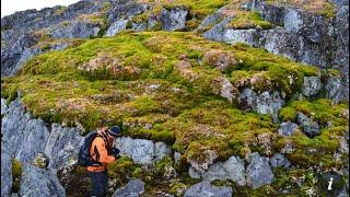 Greening Rates in both Antarctica and the Arctic are Accelerating as Global Warming Spikes Upwards