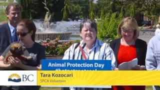 Protecting the pets of British Columbia