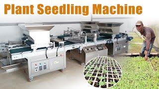 Discover the Benefits of Using a Nursery Seeding Machine #nursery #farming #agriculture #seeds