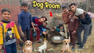 Baby Dog Ka Room Bane Diya