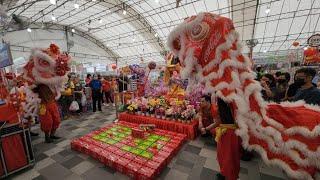 星洲龍獅體育會 Singapore Dragon & Lion Athletic Association Lion Cai Qing Performances at NTUC Bedok 7/1/23