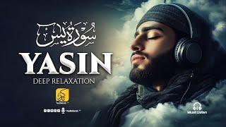 The Heart of Quran: Surah Yaseen | Soul-Soothing Recitation for Guidance & Comfort | Tadhkirah Tv