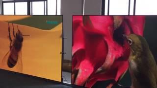 Factory Price High Quality Indoor P2.5 P3 Led Customized Display Led Advertising Sign For Wholesale