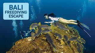 Bali Freediving Escape