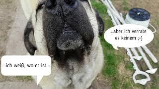 WER SIND WIR?? ---- BM-Jugendarbeit
