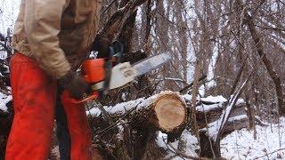 Cutting a little firewood - A few things to look out for