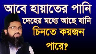 ,#আবেহায়াতের #পানি #দেহের #মধ্যে আছে যানি চিনতে পারে,#abe hayater #pani deher mpdde ac