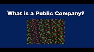 What is a Public Company?