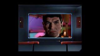 Star Trek -- The Romulans