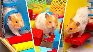 ULTIMATE HAMSTER FUN || Huge DIY Hamster Maze and Space Craft tor Your Pet