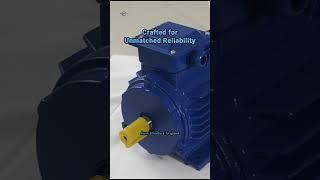 Unlock Superior Efficiency with HSP Motors