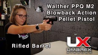 Walther PPQ M2 Pellet Pistol CO2 Powered from Umarex Airguns