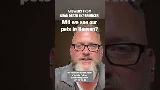 Do Animals Have Souls?  #neardeathexperience #pets #shorts #shortsvideo Heaven #NDE #love #cat #dog