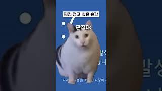 [유튜브 교육] 편집자 카운터