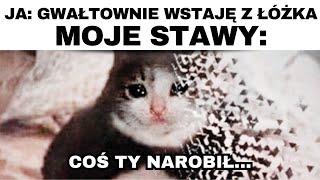 Dzienna Dawka MEMÓW  |162| Polskie memy 2024 | Memy po Polsku |